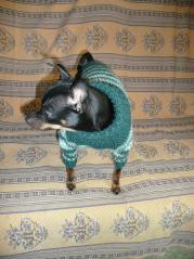 изображение свитер для собаки