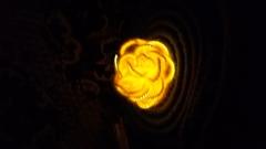 изображение настенное бра "чайная роза"