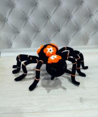 фото Цветочный паук