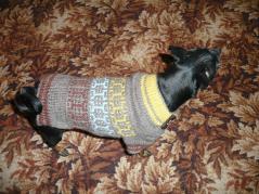 фото свитер для собаки