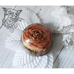 картинка чайная роза