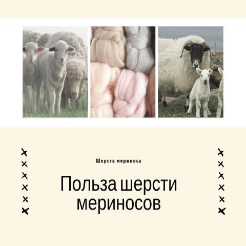 Польза шерсти мериносовой овечки
