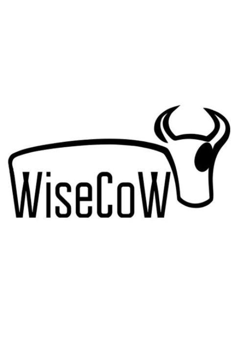 Онлайн-видеолекторий WiseCow