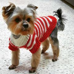 фото Вязаная одежда для собак 